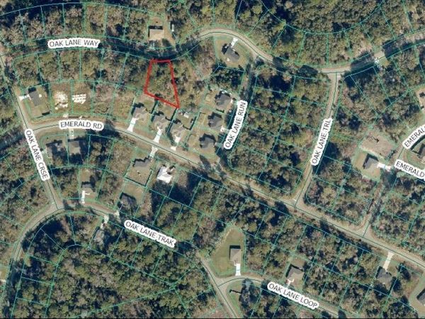 OAK LANE WAY , OCKLAWAHA, FL 32179
