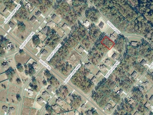 LOCUS LOOP PASS , OCKLAWAHA, FL 32179