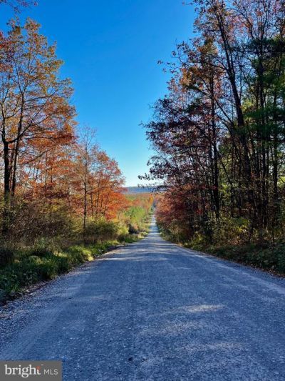 11 BEECH CREEK MOUNTAIN ROAD , BEECH CREEK, PA 16822
