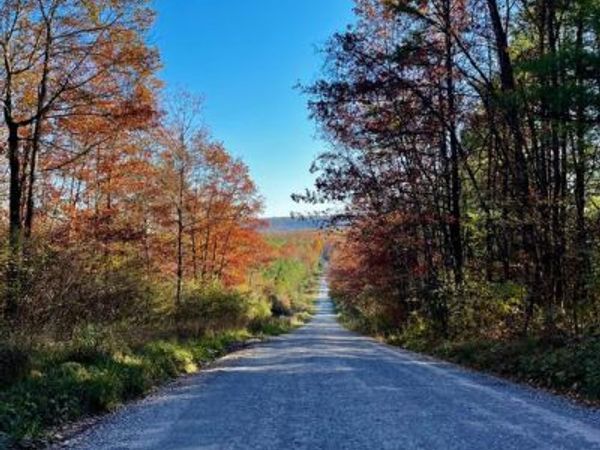 11 BEECH CREEK MOUNTAIN ROAD , BEECH CREEK, PA 16822