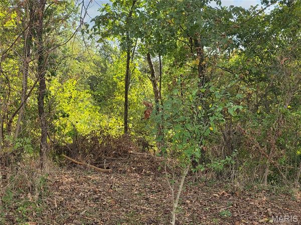 xxx Bluff Circle , Waynesville, MO 65583