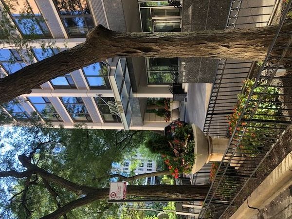 222 E PEARSON Street , Unit 803, Chicago, IL 60611