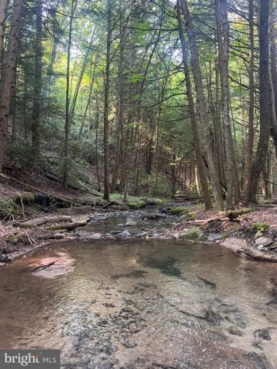 15 BEECH CREEK MOUNTAIN ROAD , BEECH CREEK, PA 16822