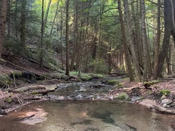 15 BEECH CREEK MOUNTAIN ROAD , BEECH CREEK, PA 16822