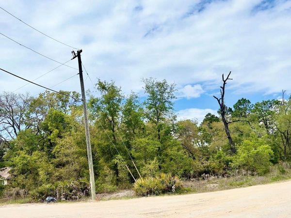 MOUNTAIN MOCKINGBIRD ROAD , WEEKI WACHEE, FL 34614