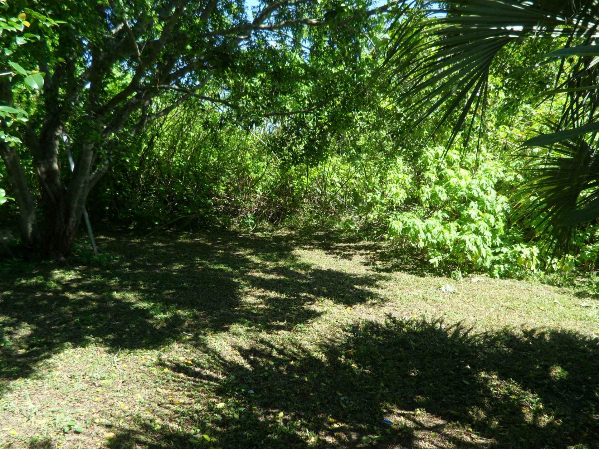 4639 Sunset Lane, West Palm Beach, FL 33415 Photo