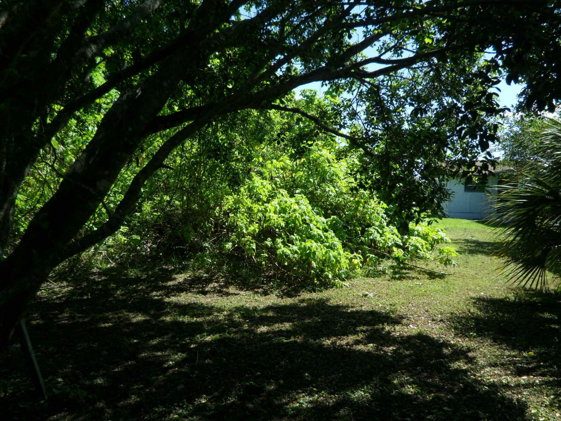4639 Sunset Lane, West Palm Beach, FL 33415 Photo