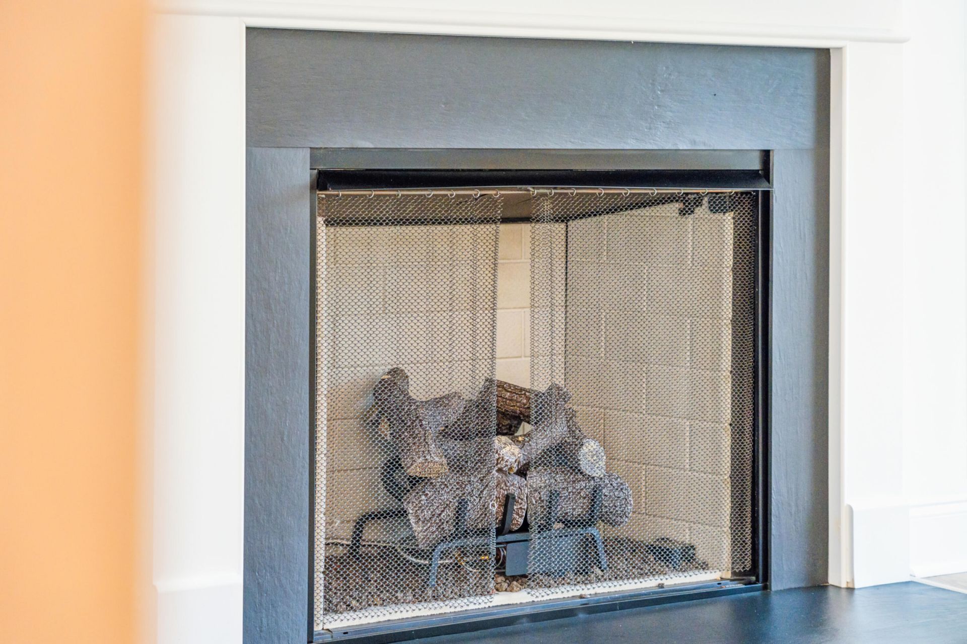 316 Livewell Court Photo 30