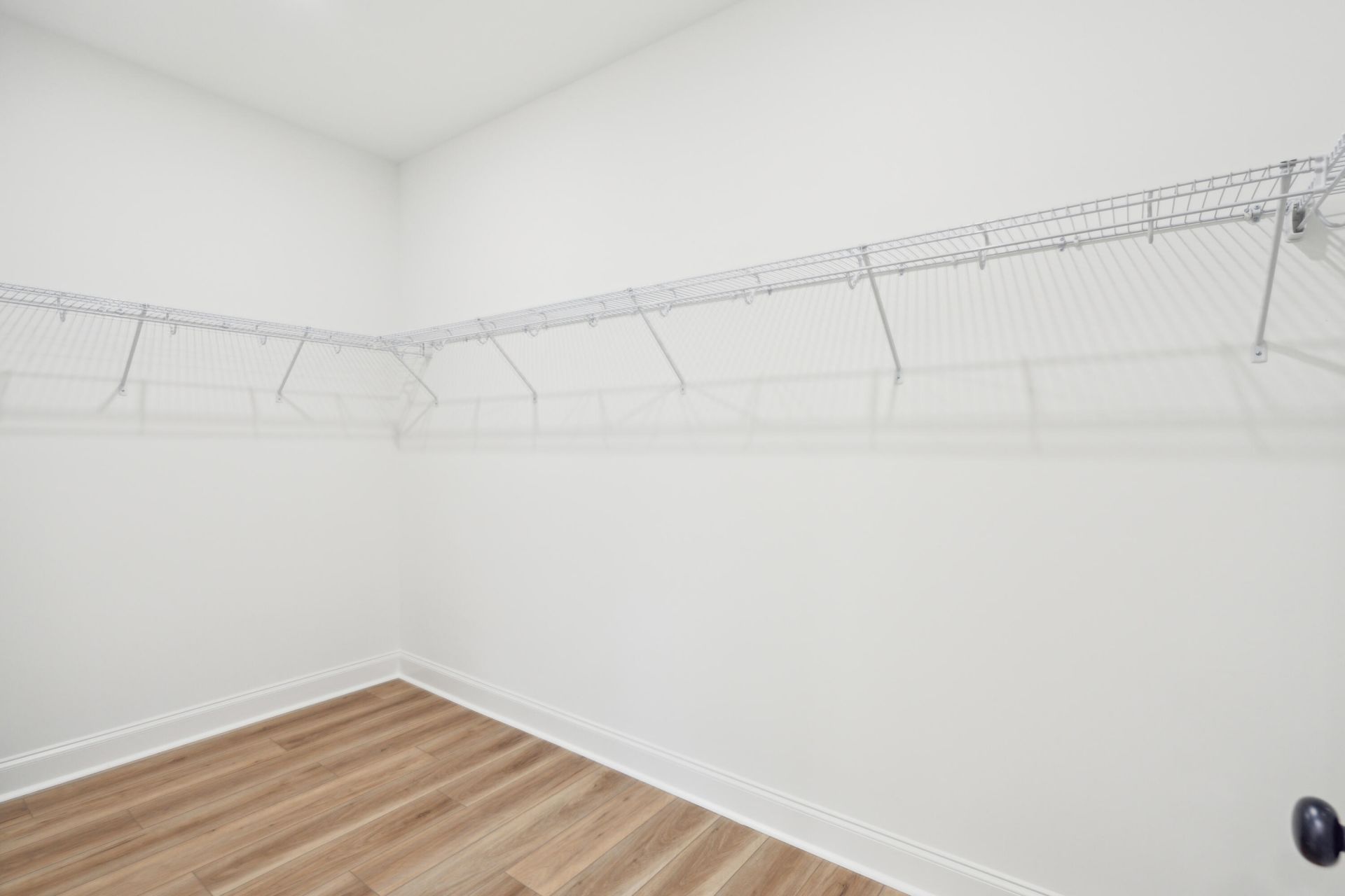 316 Livewell Court Photo 35