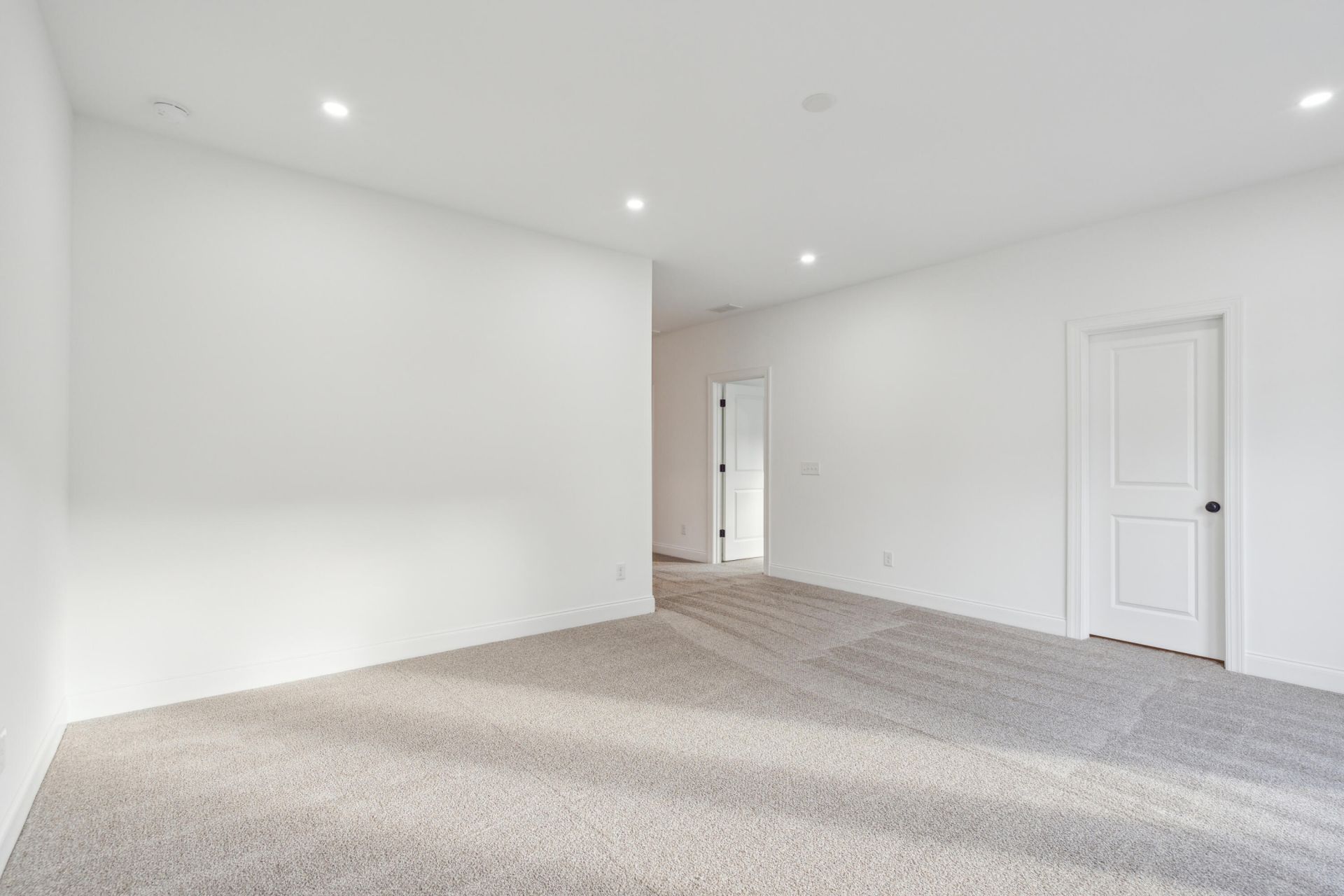 316 Livewell Court Photo 43
