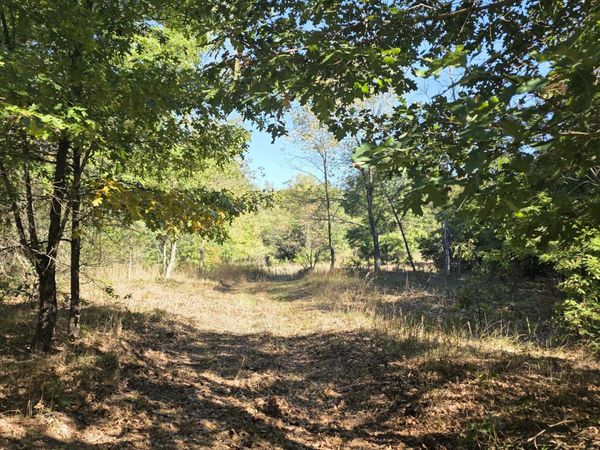 River Ranch Road, Hersey, MI 49639