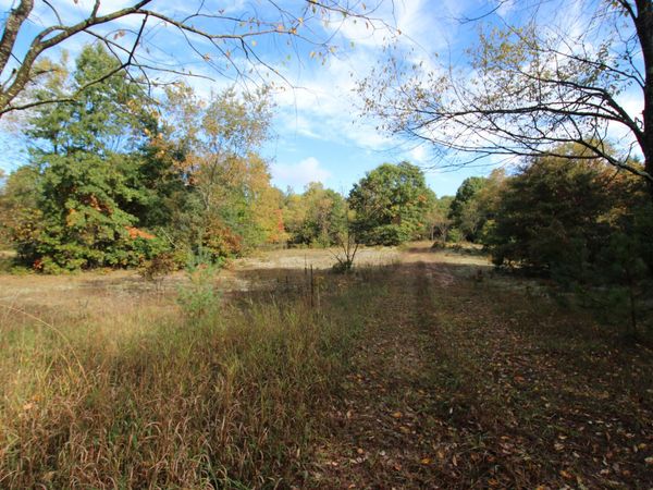 River Ranch Road, Hersey, MI 49639