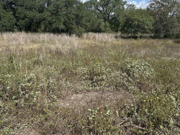 207 Charcoal Company Ln, Muldoon, TX 78949
