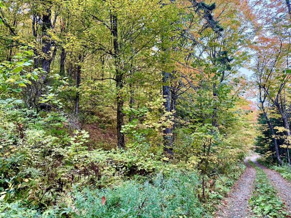 369 Hardscrabble Mountain Road, Unit Lot B, Sheffield, VT 05866