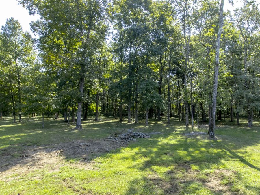 Property Image 45