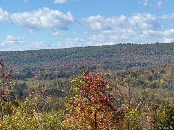 Lot # 11 Westerly Ridge Drive, Amenia, NY 12501