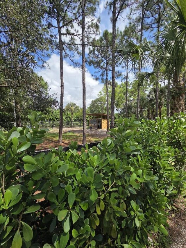 930 Rambling Drive Circle, Wellington, FL 33414 Photo