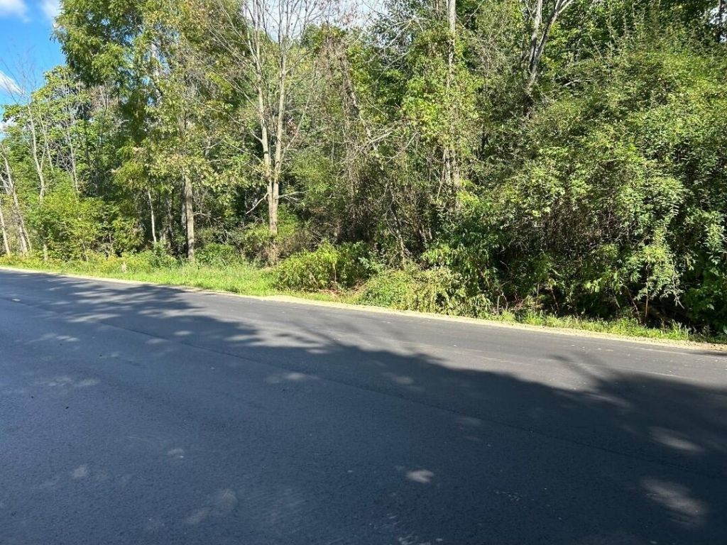 Polp Centerline, Newaygo, MI 49337 Main Photo