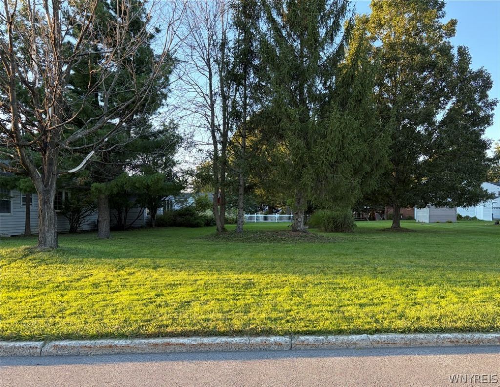 374 Woodward Crescent, Buffalo, NY 14224 Main Photo