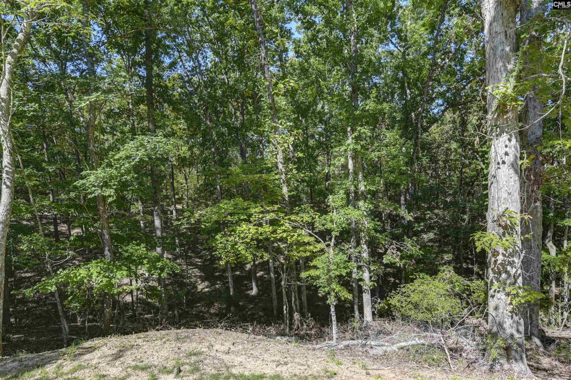 1009 Shadywood Lane Photo 14