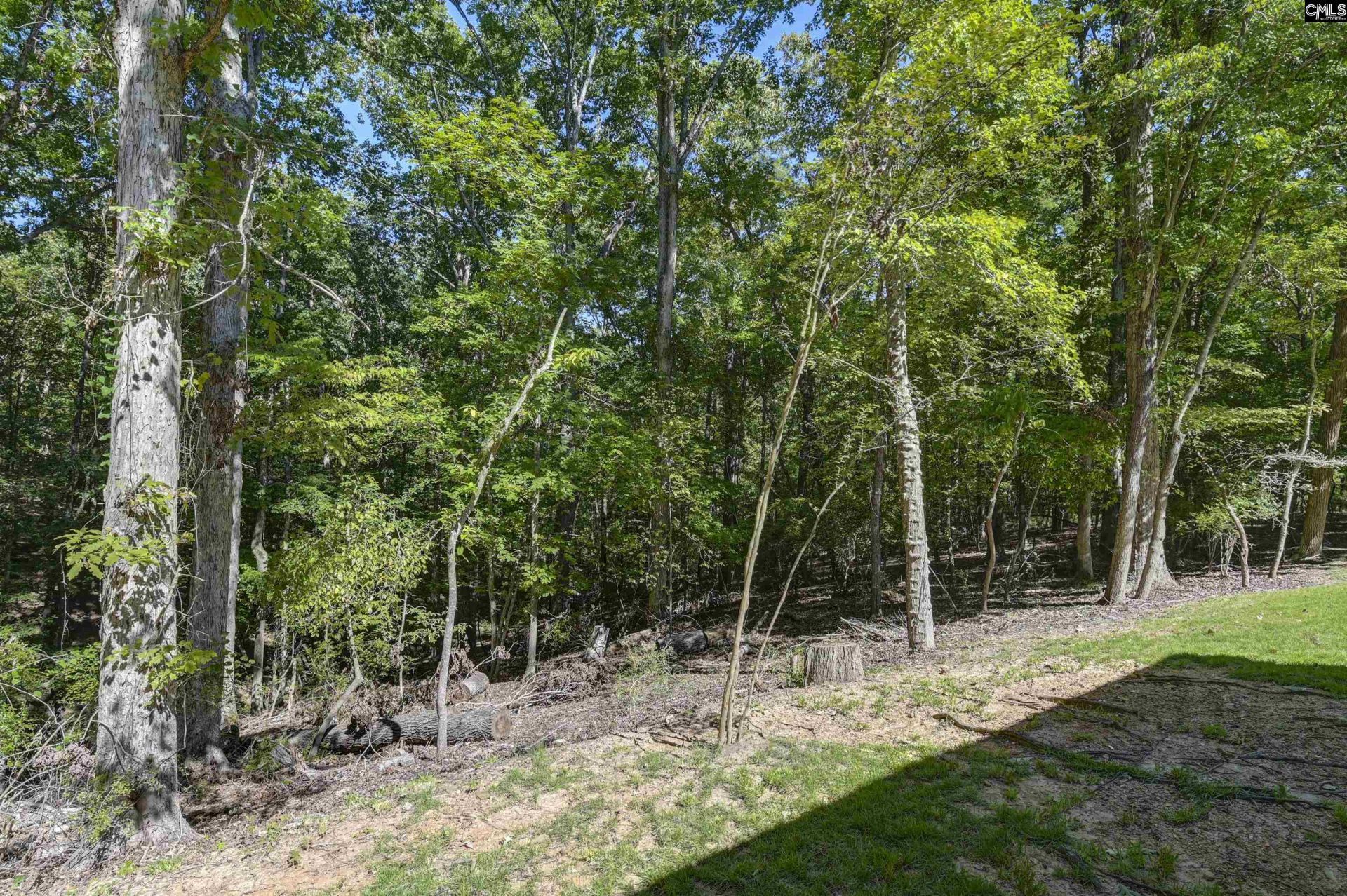 1009 Shadywood Lane Photo 15