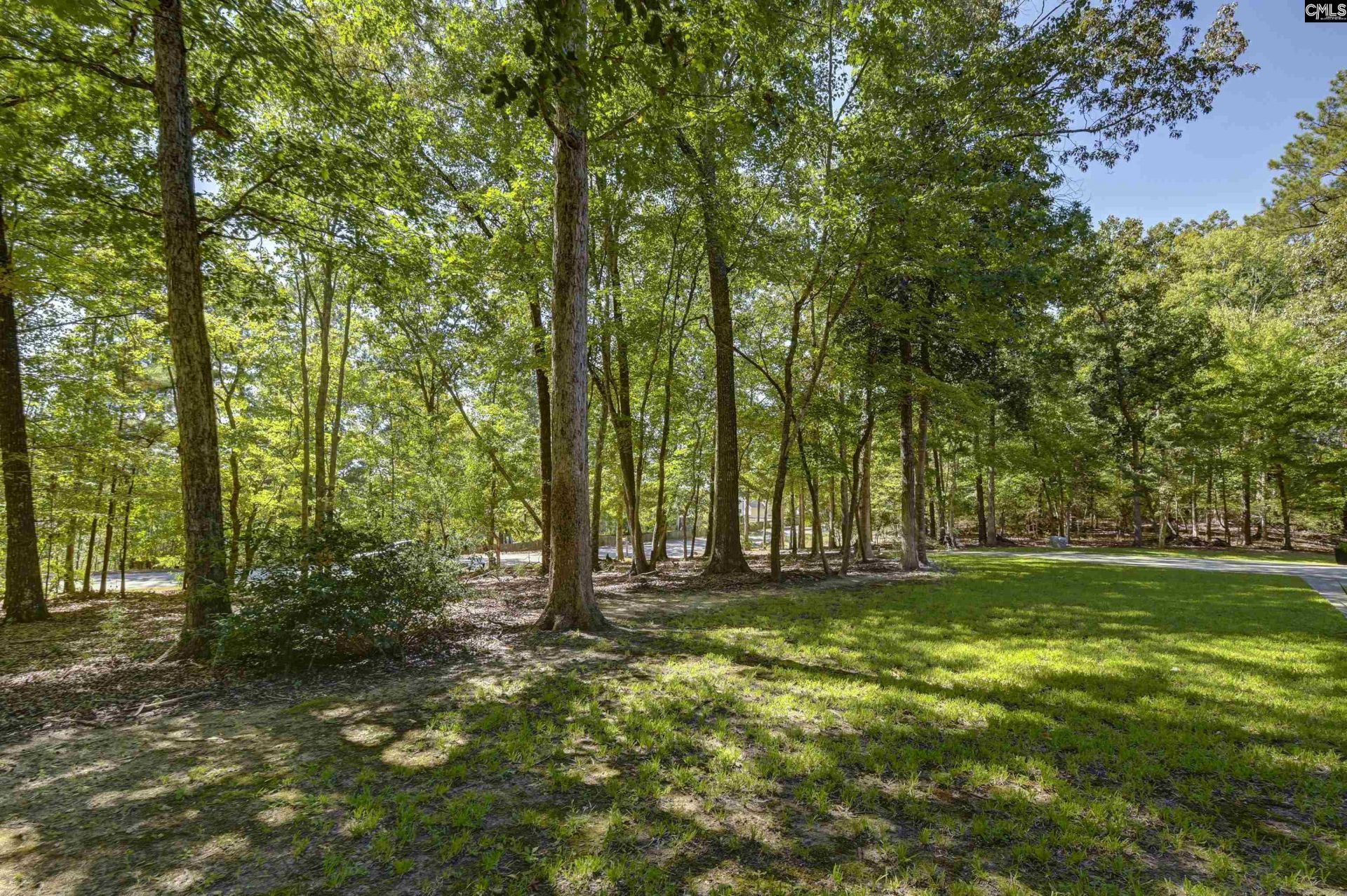 1009 Shadywood Lane Photo 16