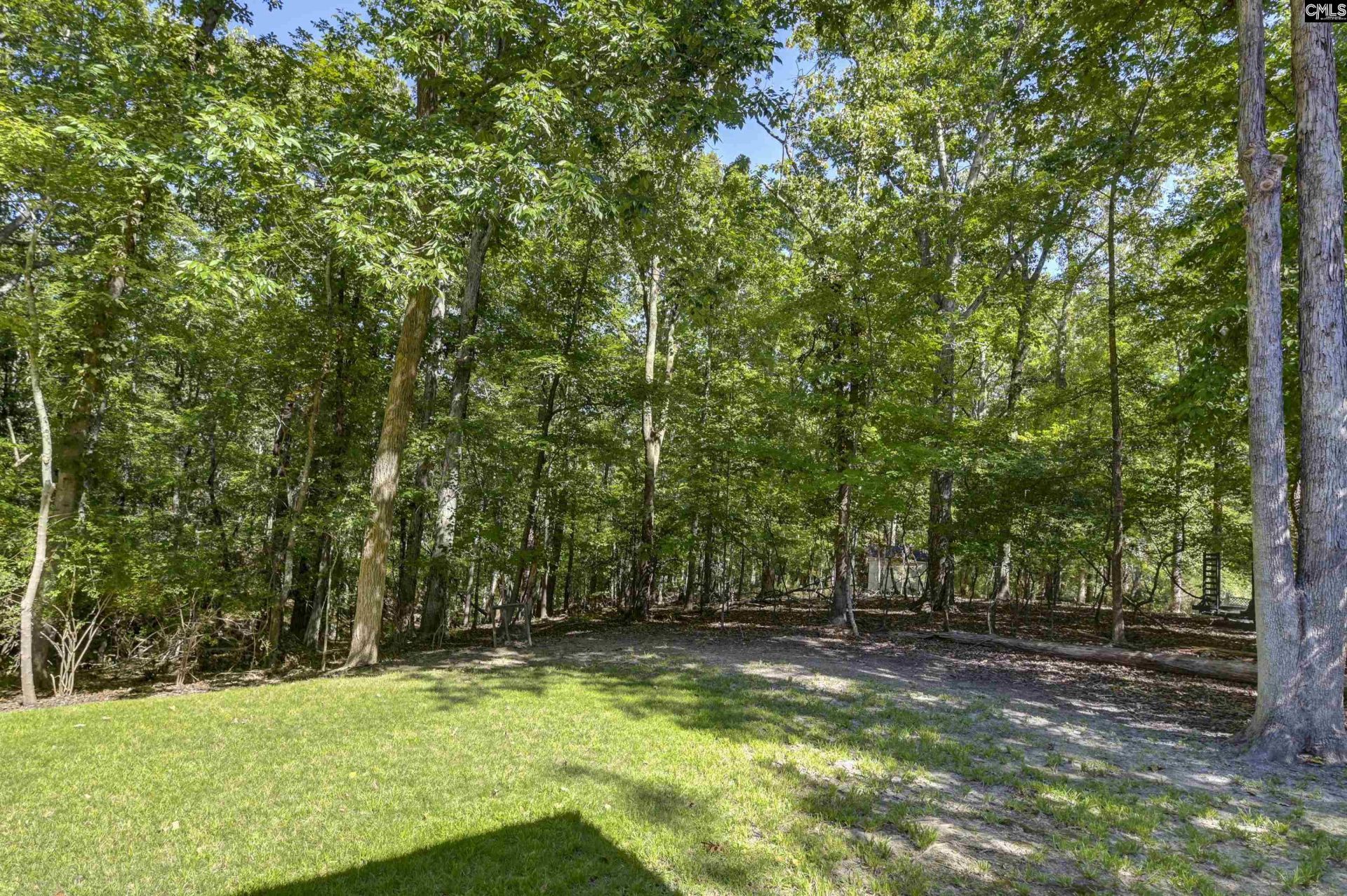1009 Shadywood Lane Photo 18