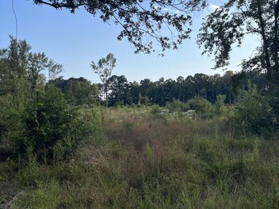 0 Yaremich Road, Moncks Corner, SC 29461