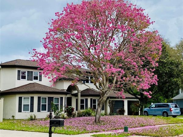 15924 NOTTINGHILL DRIVE, LUTZ, FL 33548