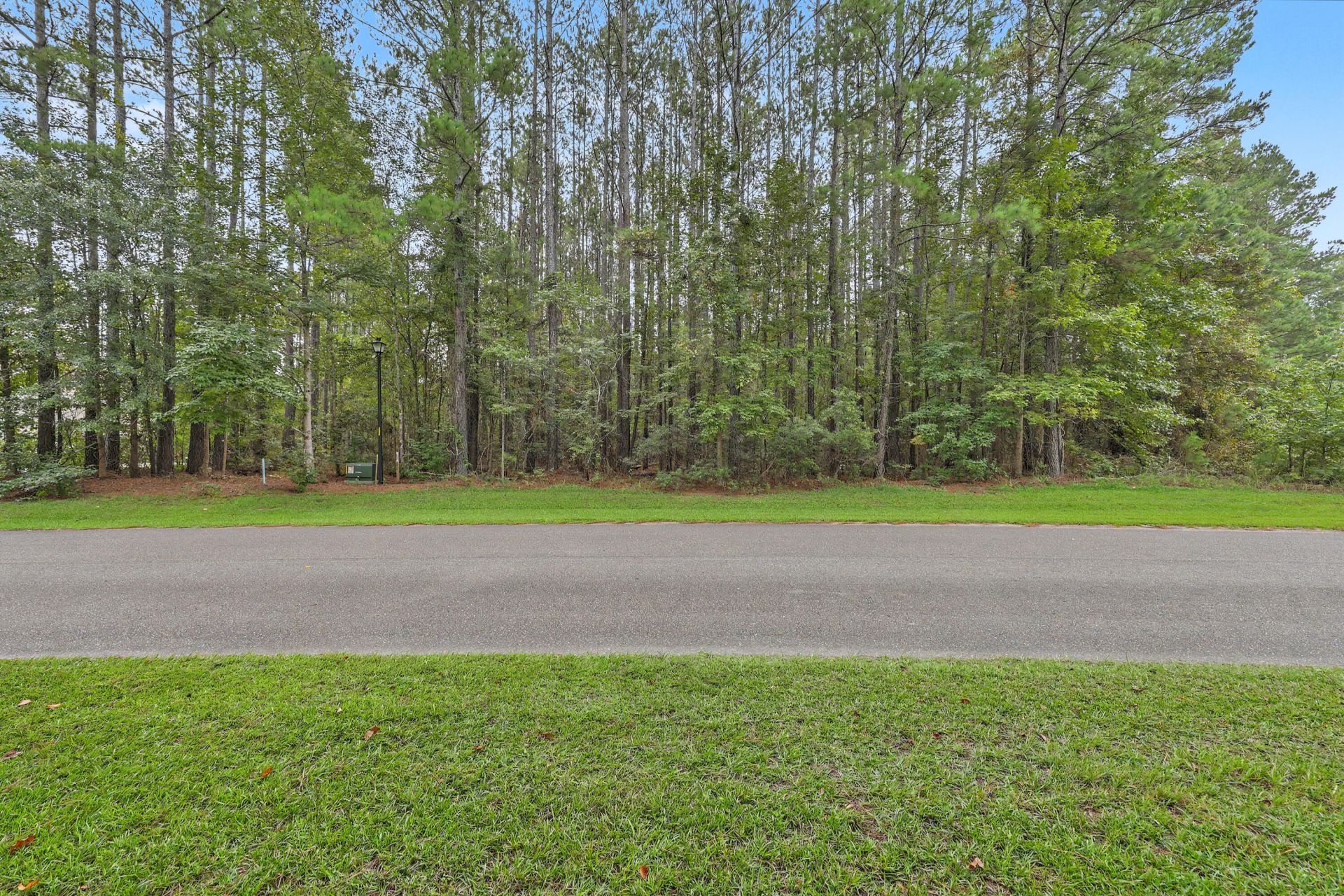 V/l Plantation Overlook Drive Photo 5