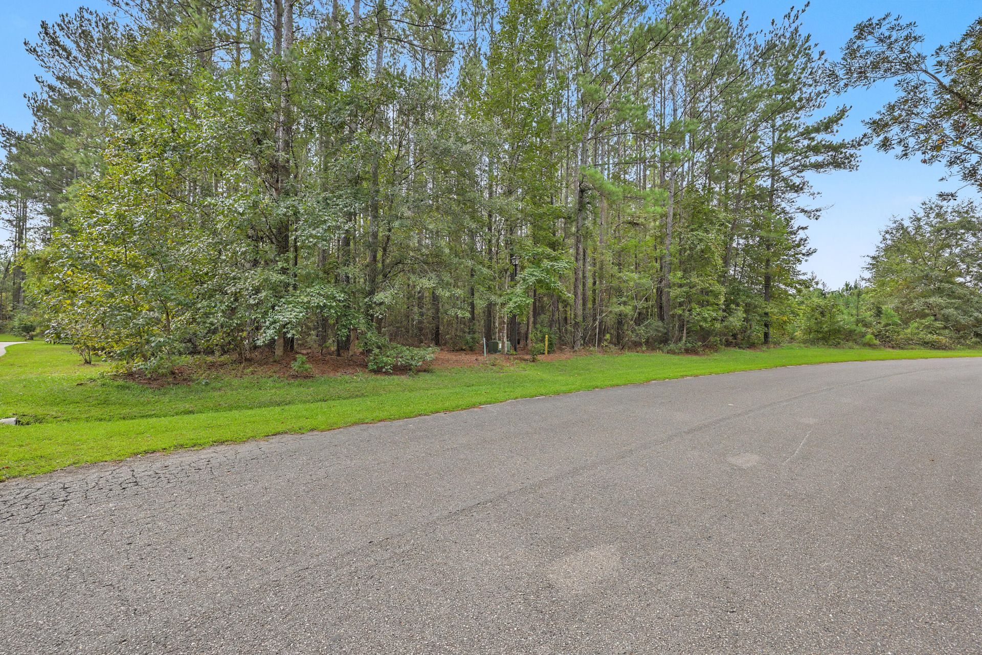 V/l Plantation Overlook Drive Photo 6