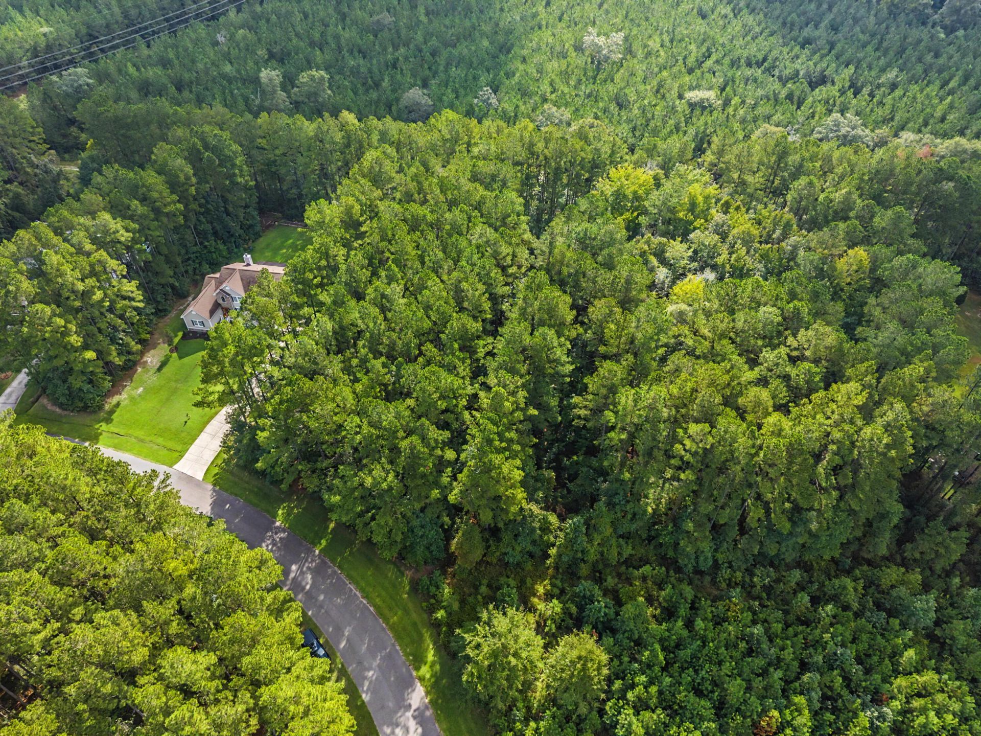 V/l Plantation Overlook Drive Photo 8