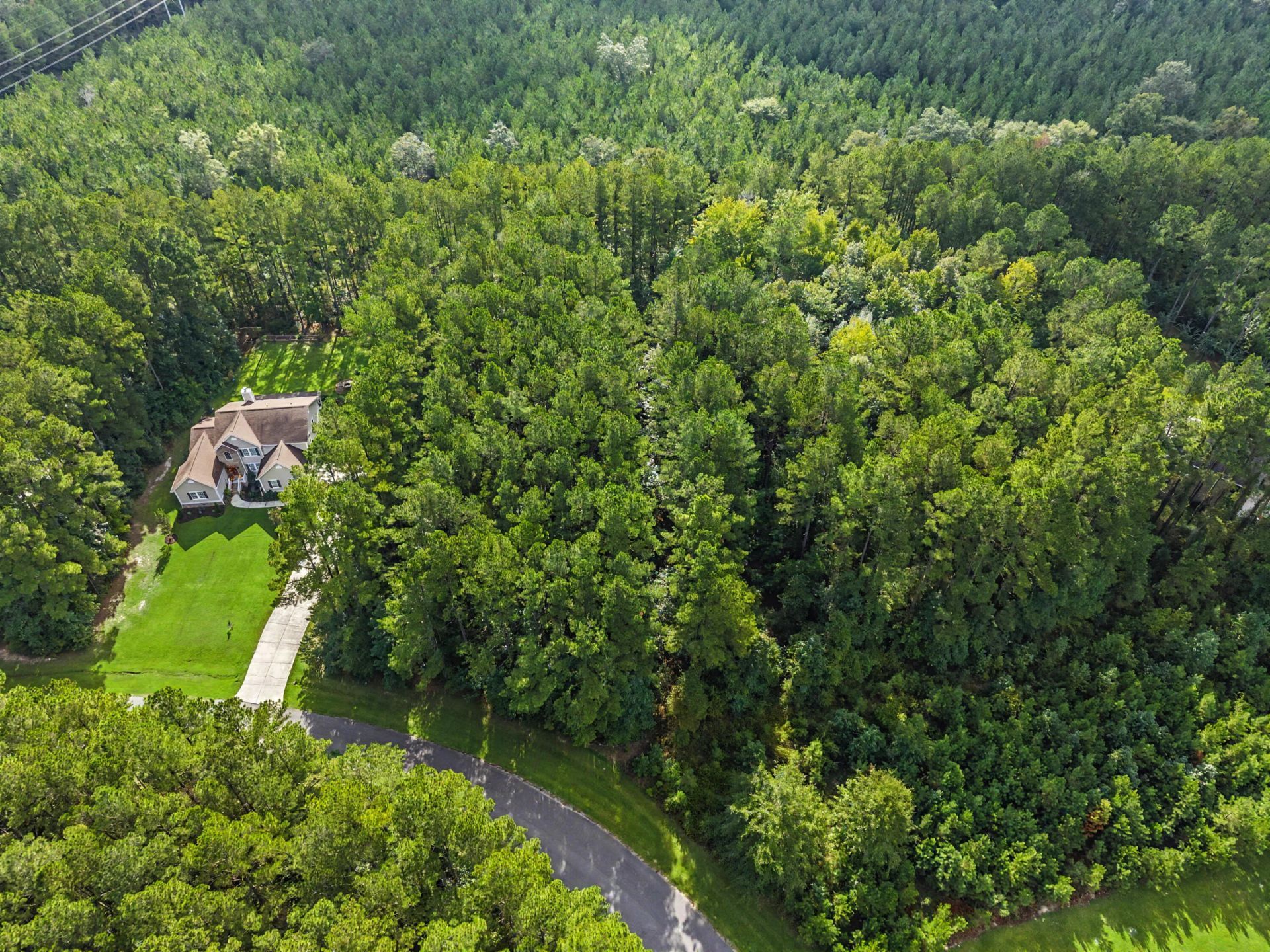 V/l Plantation Overlook Drive Photo 9