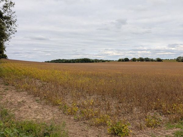 38.80 Acres Faville Road, Lake Mills, WI 53551