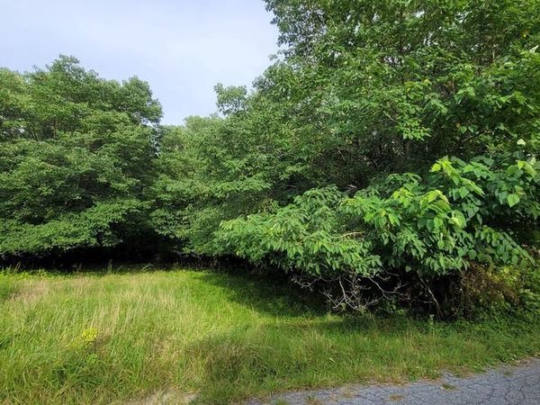 JOHNSTOWN LANE, CENTREVILLE, MD 21617