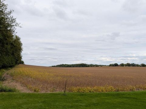 Main Photo