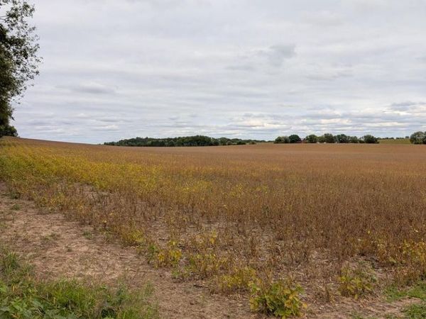38.8 Acres FAVILLE ROAD, Lake Mills, WI 53551