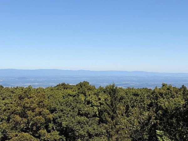 3 SHENANDOAH RIDGE CT , Wintergreen Resort, VA 22967
