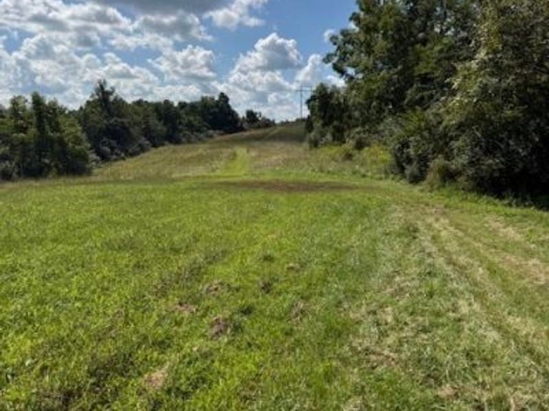 38255 Lees Run Road, Cadiz, OH 43907 Photo 10