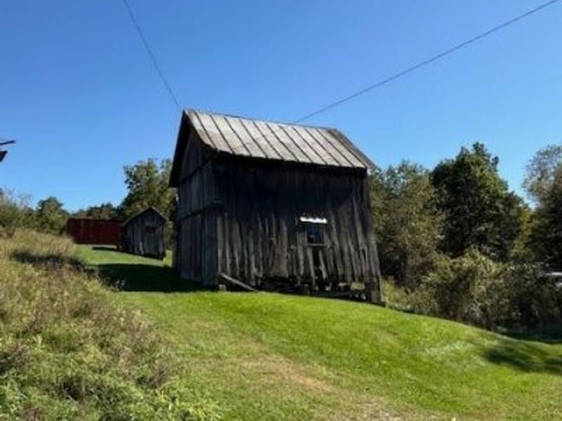 38255 Lees Run Road, Cadiz, OH 43907 Photo 8