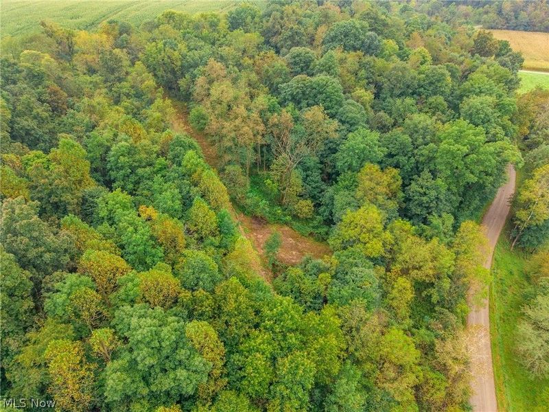 White Eyes Road, New Concord, OH 43762 Photo 11