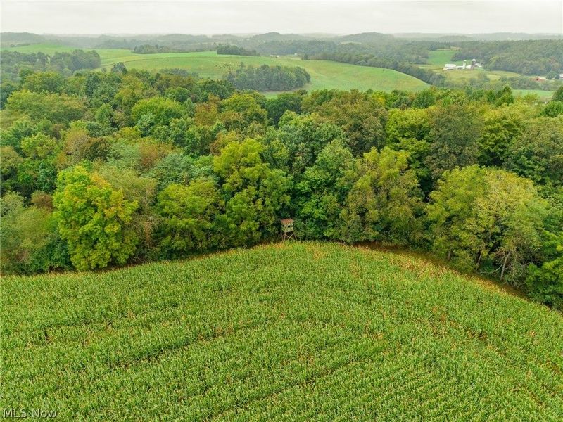 White Eyes Road, New Concord, OH 43762 Photo 14