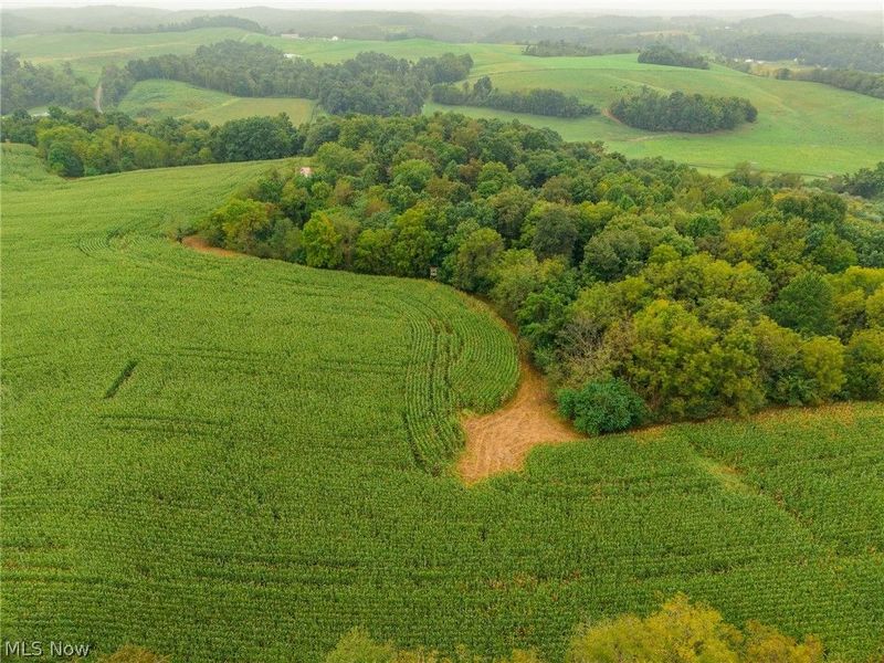 White Eyes Road, New Concord, OH 43762 Photo 15