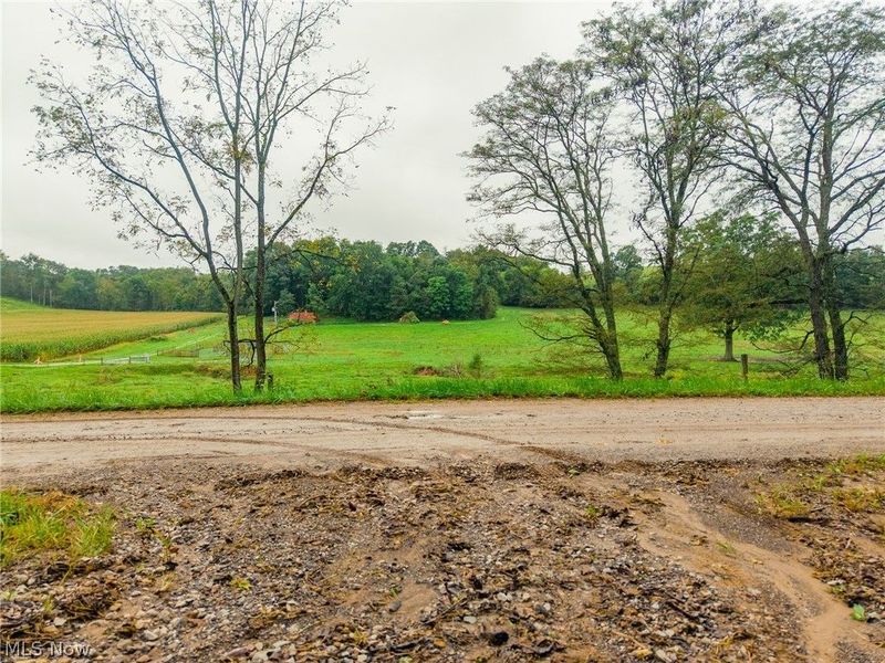 White Eyes Road, New Concord, OH 43762 Photo 19
