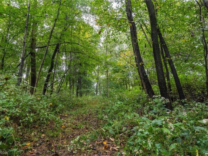 White Eyes Road, New Concord, OH 43762 Photo 27