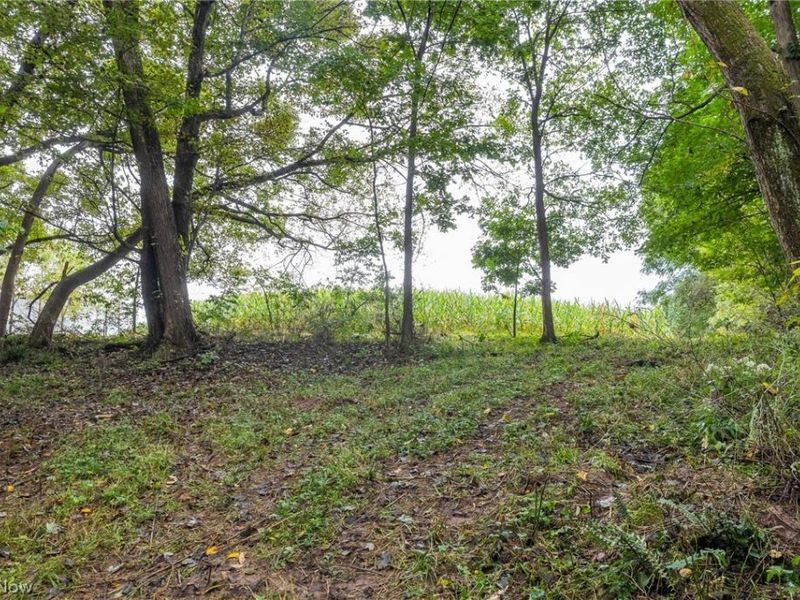 White Eyes Road, New Concord, OH 43762 Photo 28