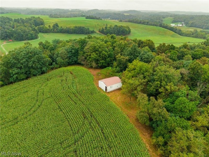 White Eyes Road, New Concord, OH 43762 Photo 3
