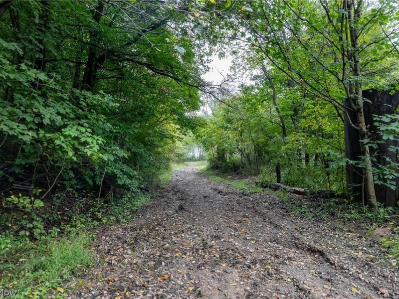 White Eyes Road, New Concord, OH 43762 Photo 31