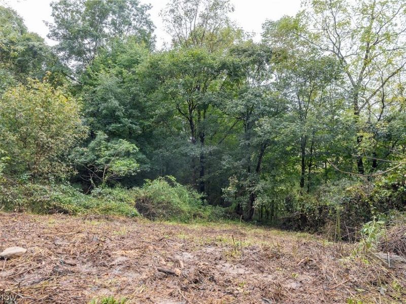White Eyes Road, New Concord, OH 43762 Photo 32