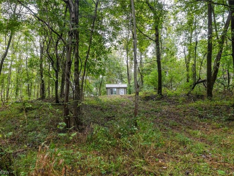White Eyes Road, New Concord, OH 43762 Photo 33